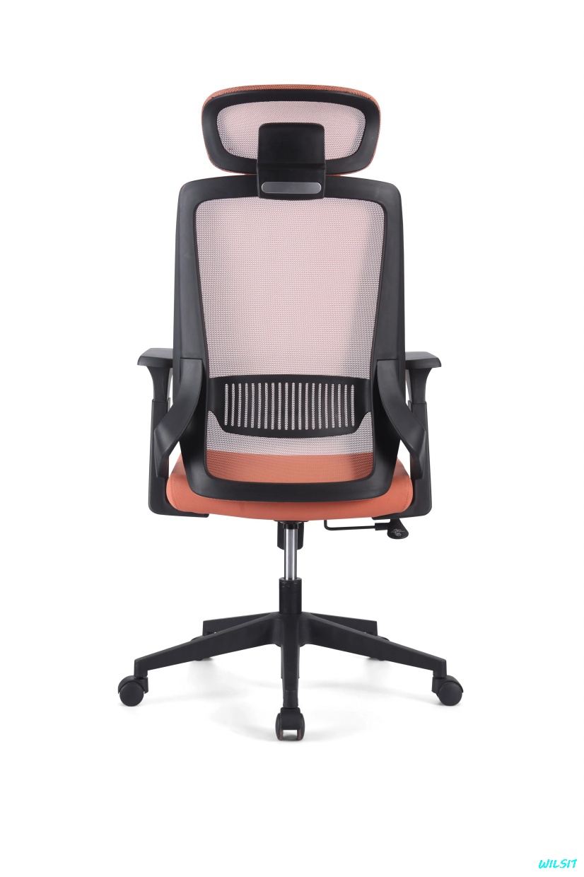 【中古品】Beyond entrepreneurship This is the Grand Cocktail time SDGM007. Released last